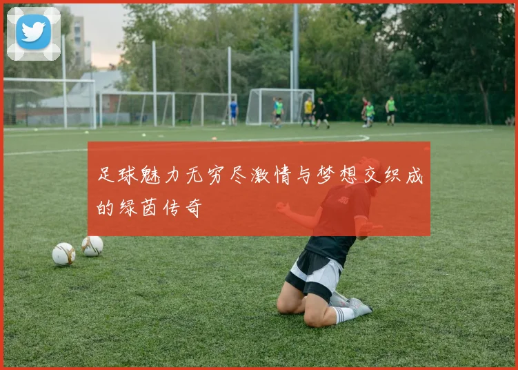 足球魅力无穷尽激情与梦想交织成的绿茵传奇