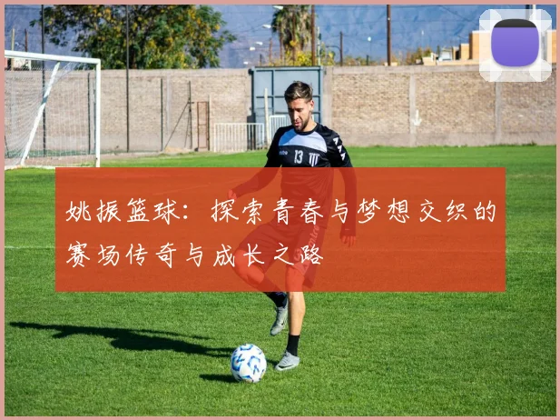 姚振篮球：探索青春与梦想交织的赛场传奇与成长之路