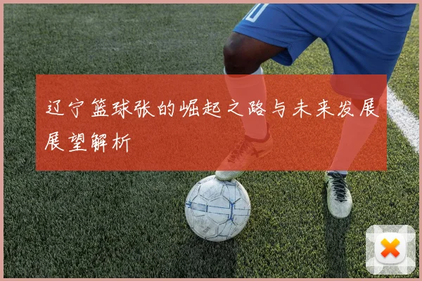辽宁篮球张的崛起之路与未来发展展望解析