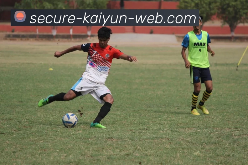 Kaiyun平台生态图